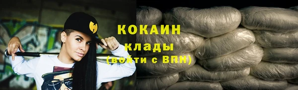 2c-b Бородино
